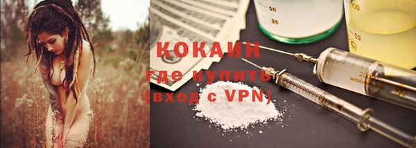 ПСИЛОЦИБИНОВЫЕ ГРИБЫ Арсеньев