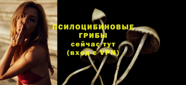 ПСИЛОЦИБИНОВЫЕ ГРИБЫ Арсеньев