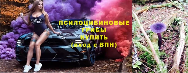 ПСИЛОЦИБИНОВЫЕ ГРИБЫ Арсеньев